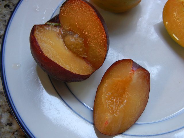 A black velvet apricot, sliced, on a blue plate, showing soft, juicy golden interior, and a small, apricot-like pit