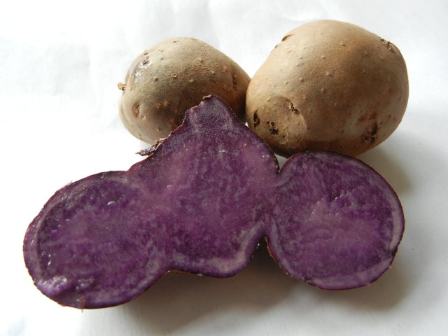A blue (purple) potato, sliced open, showing purple interior, with whole potatos in the background.