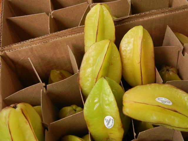 Carambolas, yellow and greenish, packed in a cardboard partition