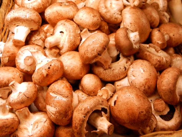 Photo of a bunch of crimini mushrooms, plain, small brown mushrooms