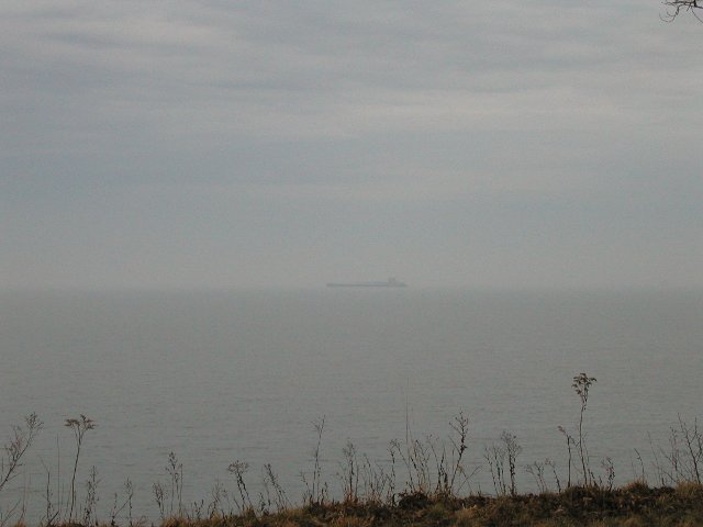 A distant barge on lake erie, gray water, party cloudy sky, and dead, weedy plants in the foreground