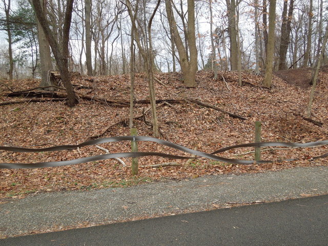 A fence that has bizarre twists and distorted patterns in it, against a winter scene of leaves in a forest