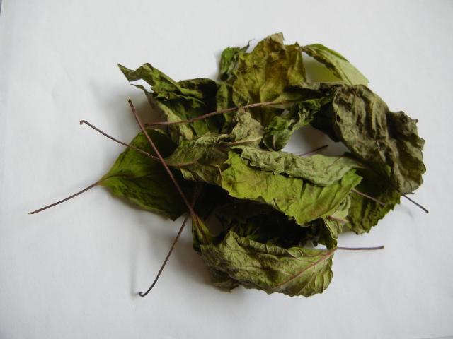 Large, flat, dried leaves, with a yellowish-green color and reddish stems