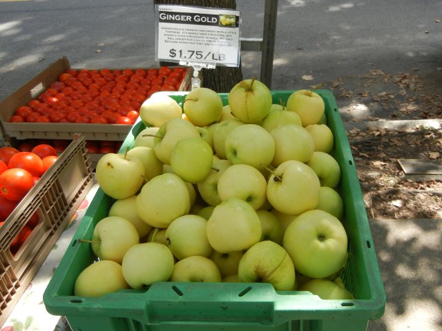 Ginger gold apples, large, light yellow-green, round apples