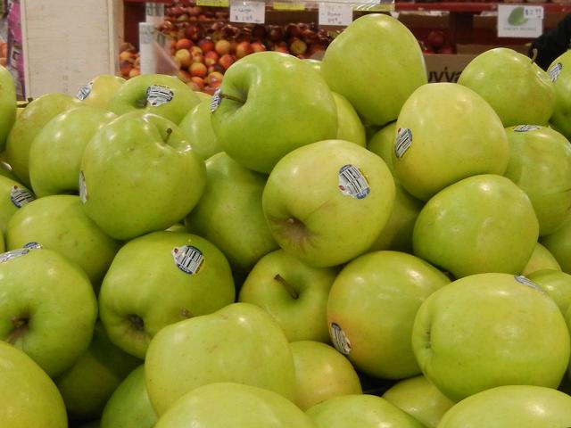 Many large, yellowish-green apples with a mostly round shape