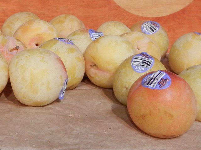 Golden tree pluots on a shelf, a peachy-yellow, plum-like fruit, with produce stickers showing PLU code 3610