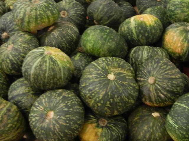 Dark green, pumpkin-shaped squash, with light green stripes and spots, and a few yellowish patches