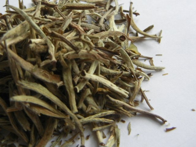 Closeup of loose-leaf white tea, with golden-leaf buds covered in downy hairs