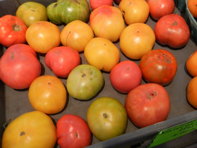 An assortment of large heirloom tomatos, all large in size, but different colors and shapes, yellow, green, pink, red, orange, some striped, some lumpy, some smooth