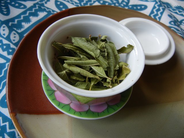 Lemon verbena leaves, dry, in a gaiwan, a Chinese lidded bowl for brewing tea