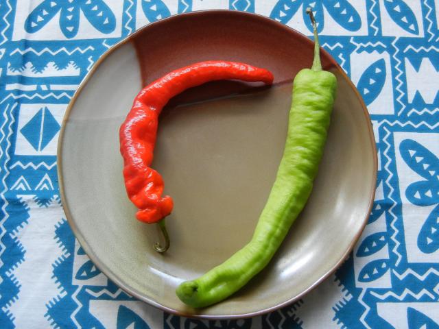 A brown ceramic plate, on a blue and white tablecloth, with a bright red-orange pepper, slightly crinkly, and curved, and a similarly-shaped pepper with a light green color
