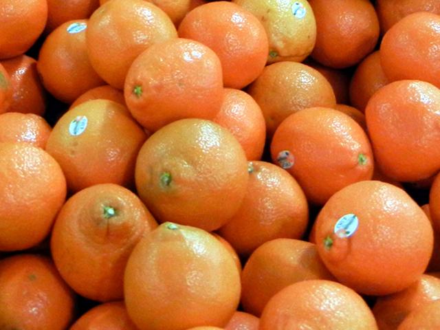 Orange-sized, orange colored citrus fruit, with a slight bell or pear shape.