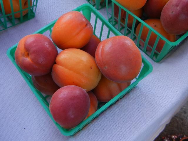 Apricots in a small container, with a rich red color and rich orange color
