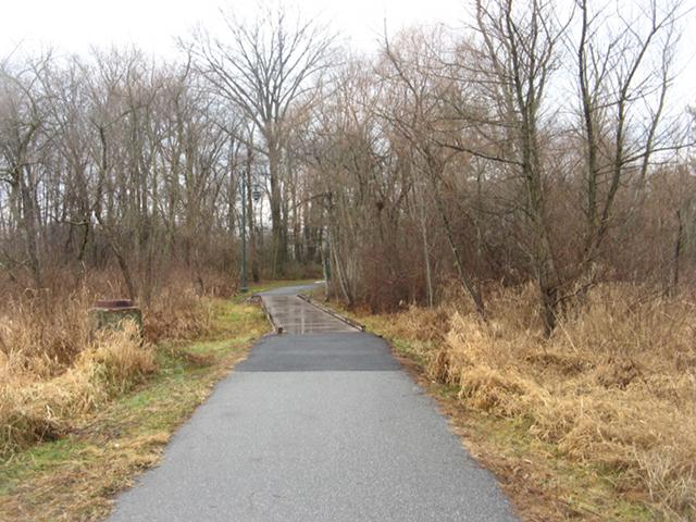 paved path and flat wooden bridge over wetlands, with forest in background