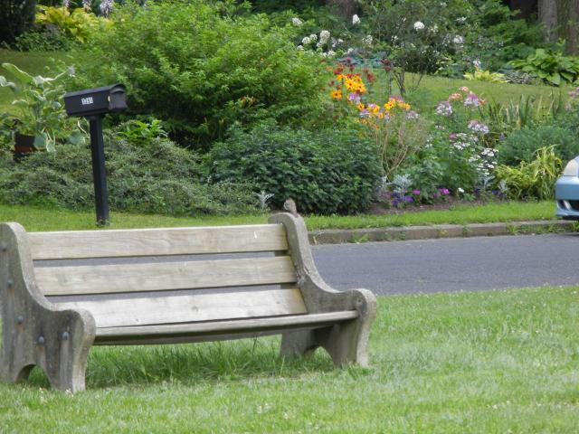 Colorful photo showing a park bench with a bird perched on it, and a colorful flower garden on the other side of the street