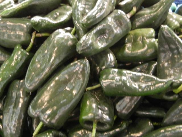 Poblano peppers, very dark green, very large, and very shiny, slightly pointed