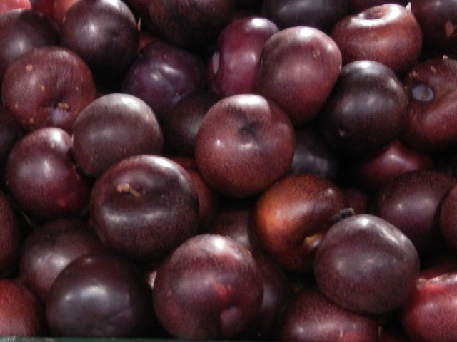 A bunch of pomegranate pluots, plum-like fruits closely resembling black plums, some showing fine spots