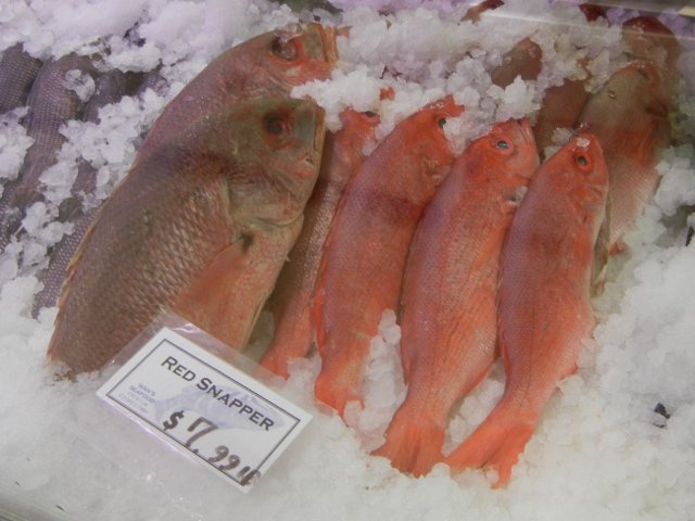 Whole red snapper, on ice, with several smaller fish and one very large fish, and a sign reading: Red snapper, $7.99 lb