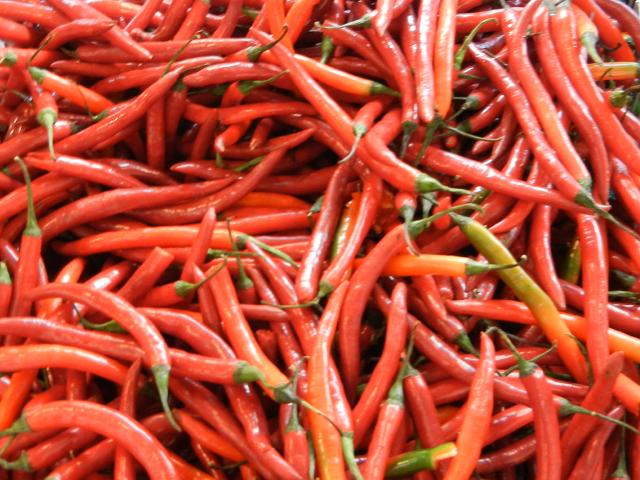 Ripe Red Cayenne Peppers Finger Chili Peppers Photos On Cazort