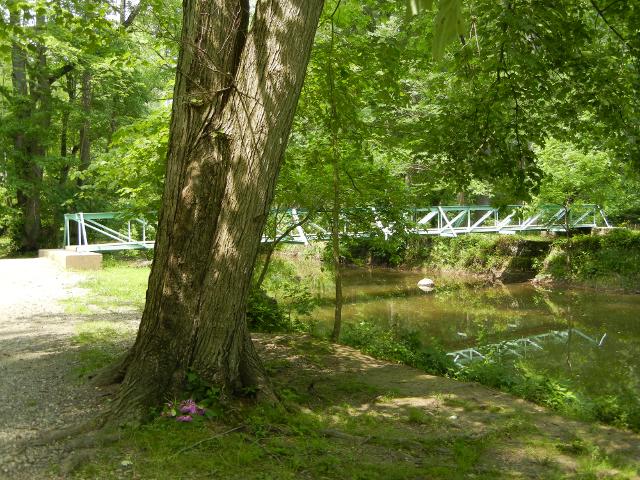 A narrow footbridge across a creek, in a forested park, showing greenish-painted metal railings, with a tree trunk in the foreground