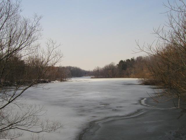 A frozen lake on the left, and bare trees on the right, with a few pine trees along the far shore of the lake