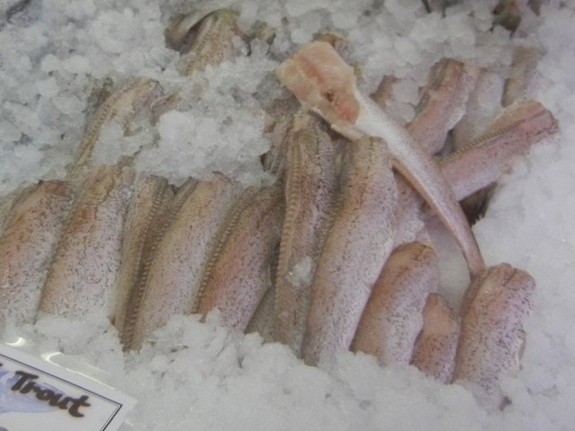 Fish for sale, marked as small mountain trout, cleaned and with head cut off, but not cut into fillets, showing white-pinkish skin with some stripes and spots, and a ridged top