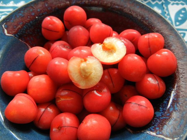 A bowl of red cherries showing a single dark stripe on each cherry, with one cherry cut in half, half showing the pit, both sides showing yellow flesh
