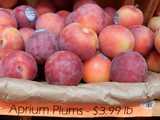 Aprium plums on a shelf with a sign reading: Aprium Plums - $3.99 lb