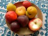A ceramic plate with eight fruit, plums, apricot, peaches, and nectarine, of varying sizes, shapes, and colors, with a teal and white tablecloth in the background