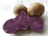 A blue (purple) potato, sliced open, showing purple interior, with whole potatos in the background.