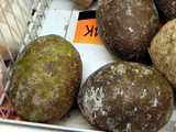 Whole breadfruit for sale