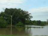 Flooding, showing standing water in the entire field of view, and telephone poles showing where a road lies under the water, trees in the background