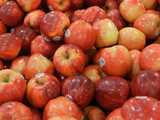 Gala apples, large, red and yellowish with a slight stripey pattern