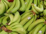 Bunches of green bananas, bearing a produce sticker reading: Bonita and Ecuador