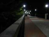 View looking straight down a very long pedestrian bridge with brick and gray concrete blocks, illuminated by bright white lampposts, with trees on the left