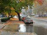 A flooded driveway and fallen autumn leaves on the sidewalk, along a city street