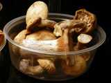 Porcini mushrooms in a plastic container, showing long, thick stems and tan-colored caps of varying sizes