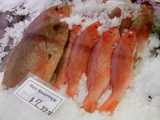 Whole red snapper, on ice, with several smaller fish and one very large fish, and a sign reading: Red snapper, $7.99 lb