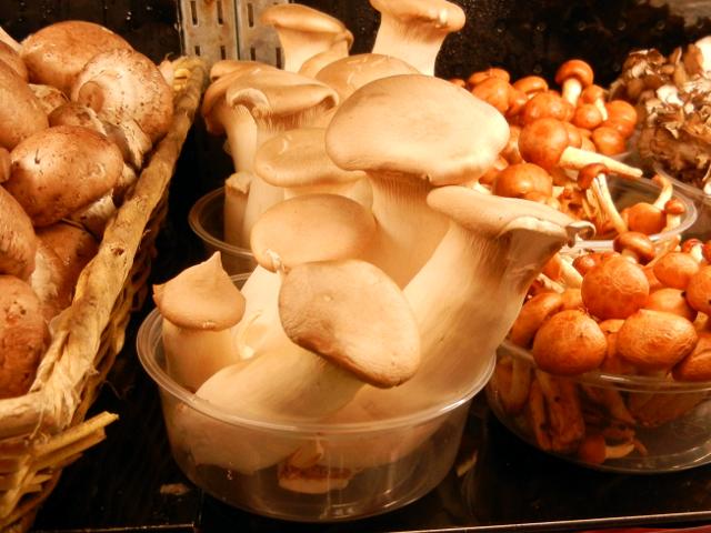 Trumpet royal mushrooms, very pale in color, showing a small flat cap and long, thick stem