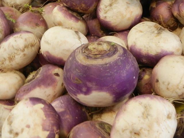 Large turnips, white and purple
