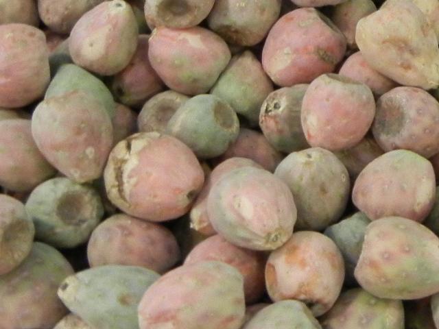 Xoconostle, small cactus pears with pink and light green color, with light, dusty-looking skin.