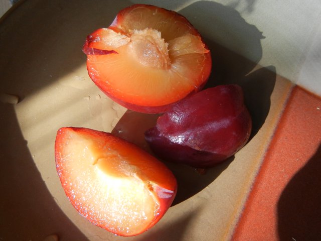 A sliced aprium on a plate, showing apricot-like interior with slightly fuzzy, red skin