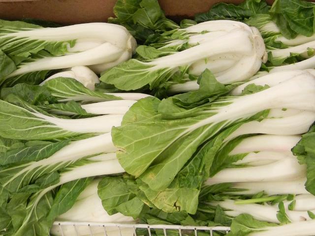 Bok choy, clusters of thick, white stalks and green leaves with white veins