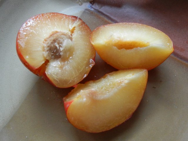 A sliced cardinal plum, showing a cardinal-red skin, light yellow interior, and slightly pointed shape, on a brown ceramic plate