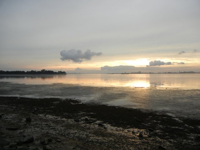 A dim sunset behind clouds, on a wide river, with dirty mudflats in the foreground