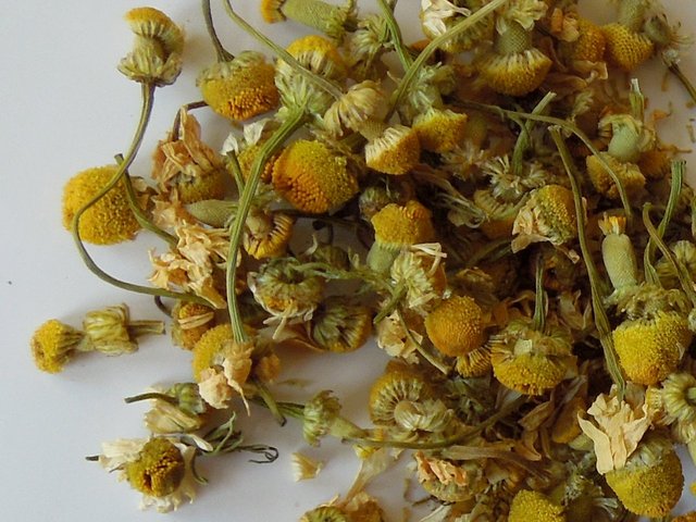 dried chamomile flowers, with golden flowerheads
