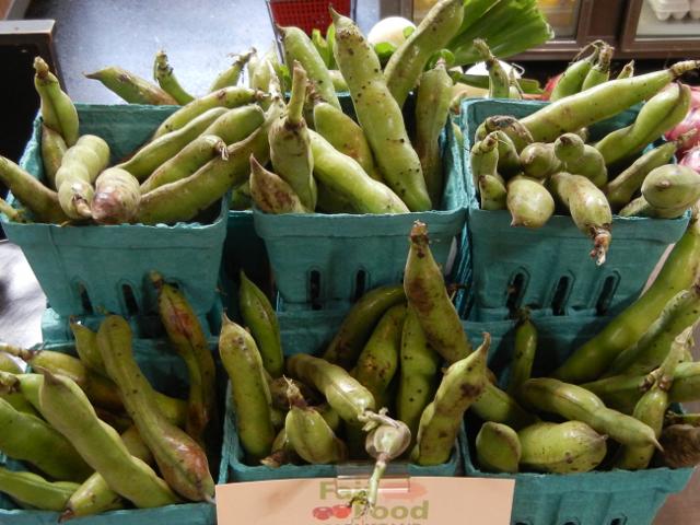 Whole fava bean pods, big, tough bean pods, in teal-colored pint containers