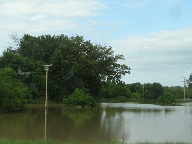 Flooding, showing standing water in the entire field of view, and telephone poles showing where a road lies under the water, trees in the background