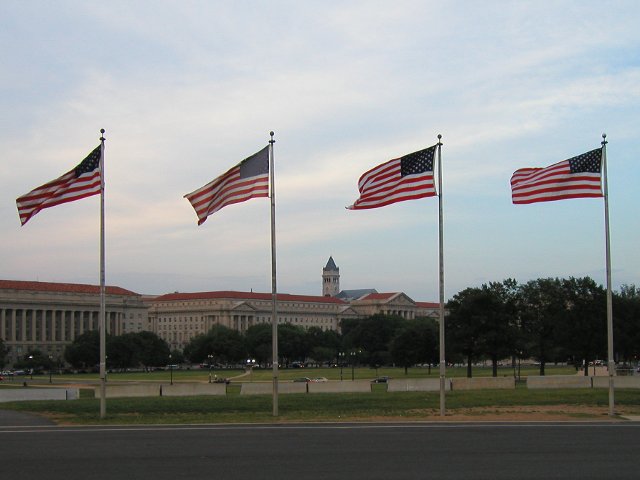 Four American flags flying on flag poles with a large government-looking building in the distant background, and some trees