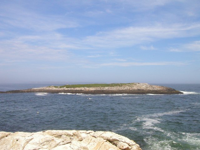 A rocky island showing a little green on top, at low tide, showing dark rocks in the tidal zone, surrounded with water, with rocks in the foreground
